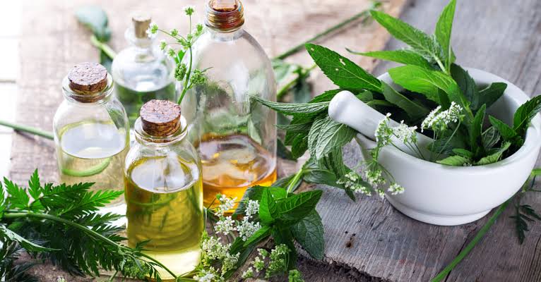 دليلك المختصر لاختيار أفضل الزيوت والأعشاب الطبيعية للمطبخ؟