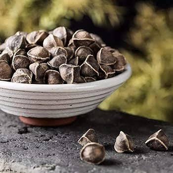 بذور مورينجا | Moringa seeds