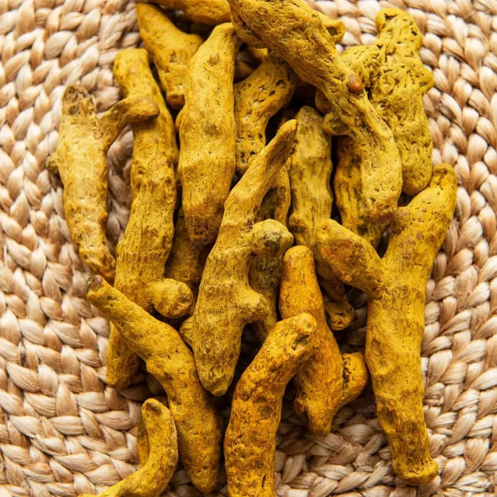 كركم حصي |Turmeric seeds