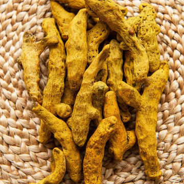 كركم حصي |Turmeric seeds