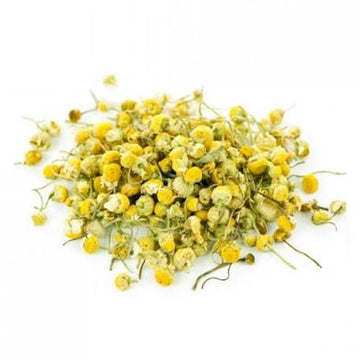 زهرة البابونج | Chamomile Flowers