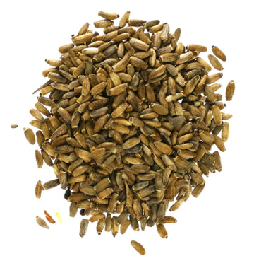⁠بذور شوك الجمل| Milk Thistle Seeds